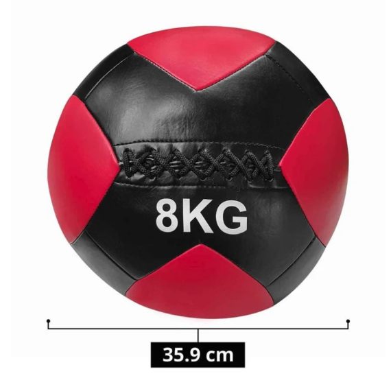 Wall ball TAYGA – 8 kg